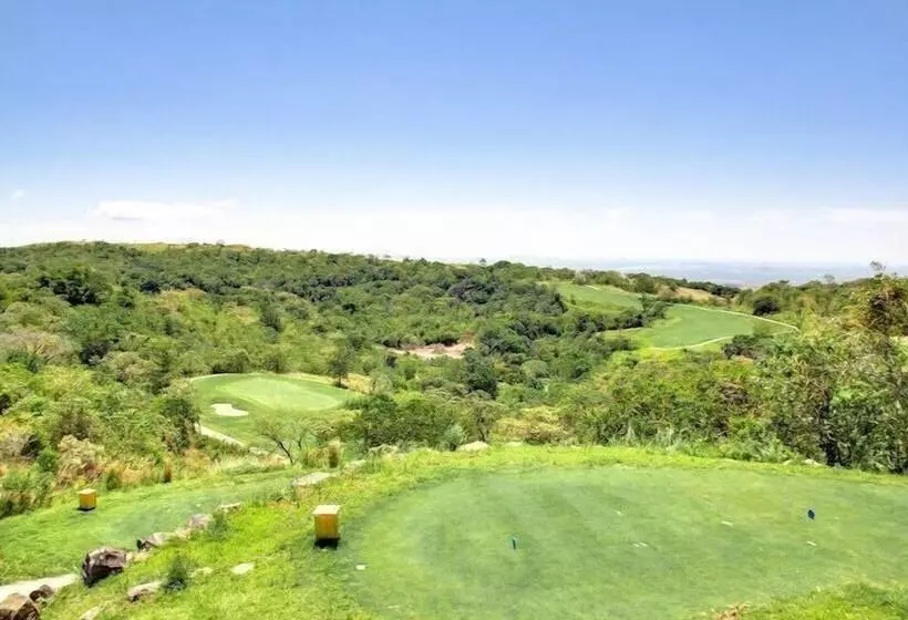 ホテル Lucero   Luxury Treehouses