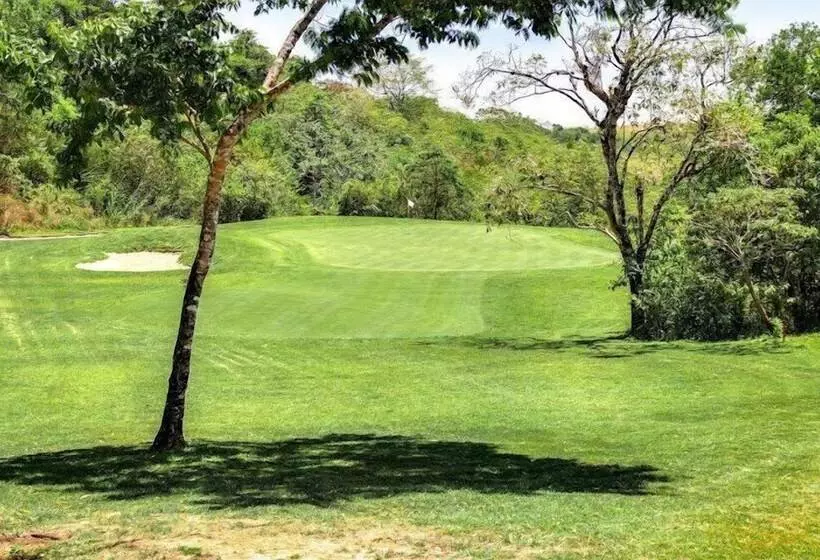 ホテル Lucero   Luxury Treehouses