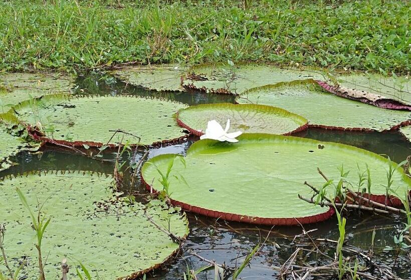 Hotel Macaw Jungle Expeditions