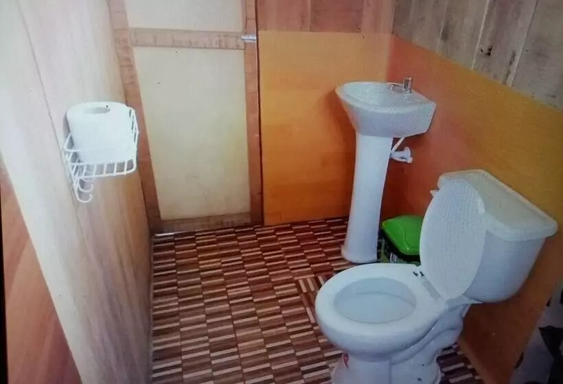 ホテル Macaw Jungle Expeditions