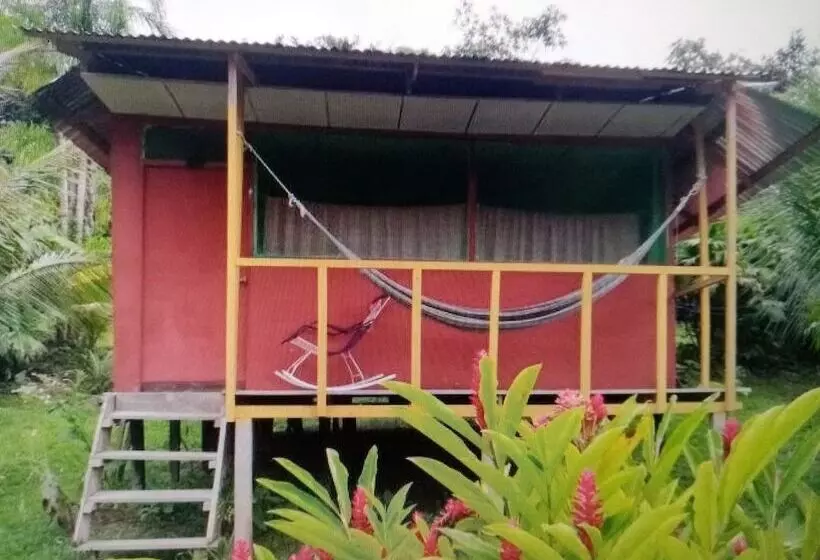 ホテル Macaw Jungle Expeditions