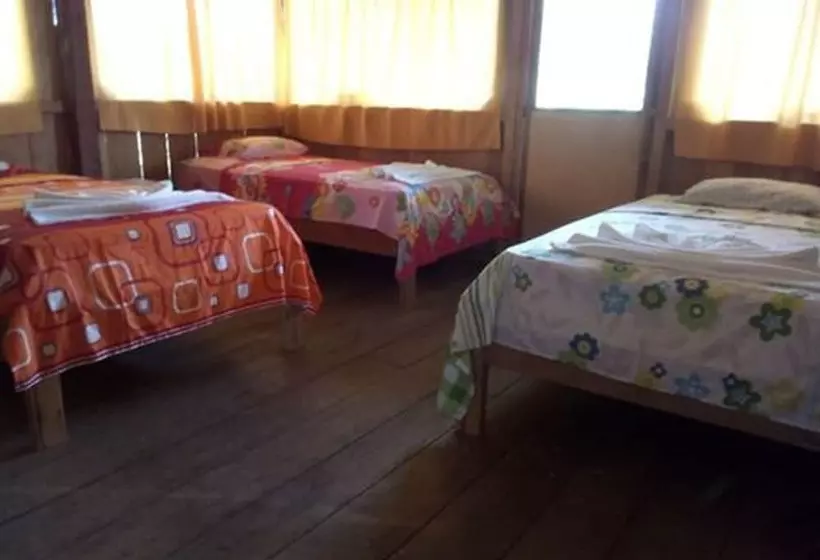 ホテル Macaw Jungle Expeditions