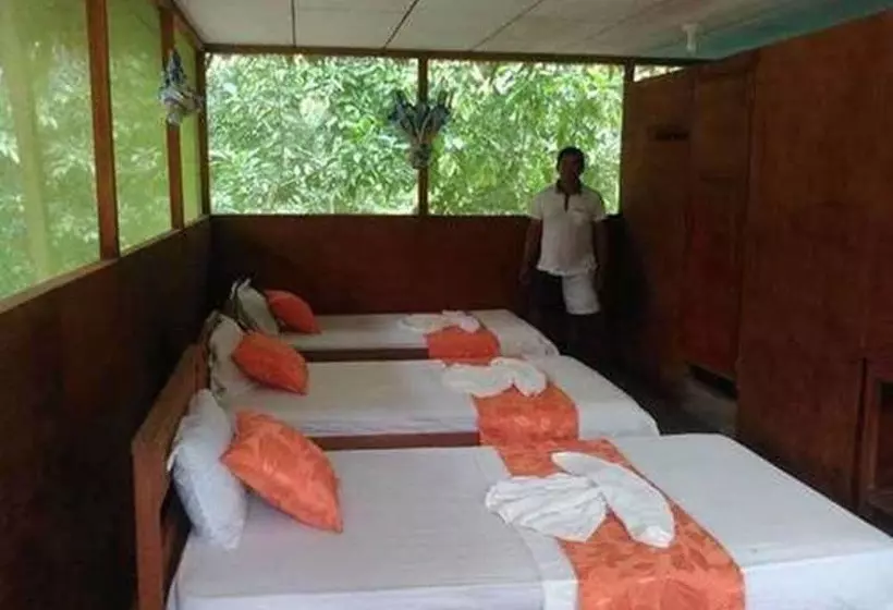 ホテル Macaw Jungle Expeditions