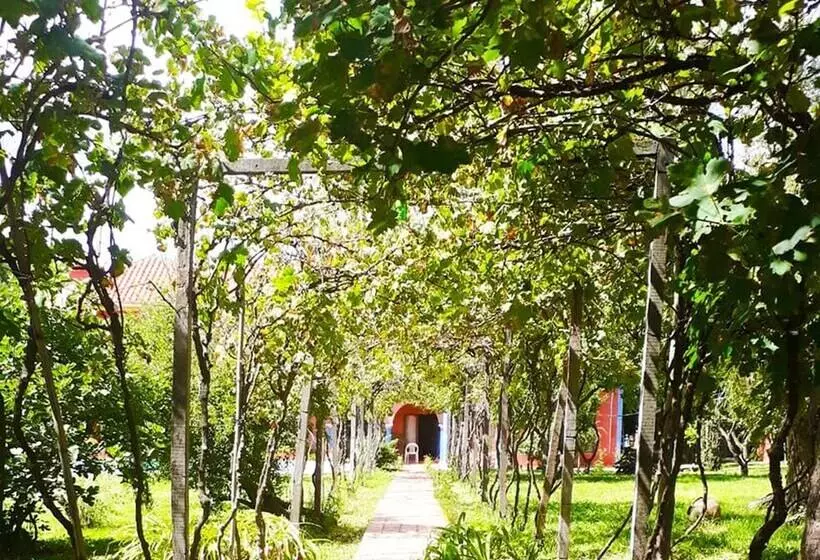 ホテル San Javier