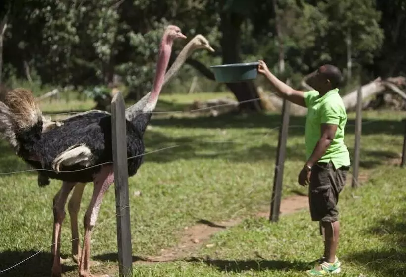 هتل Ssese Habitat Resort