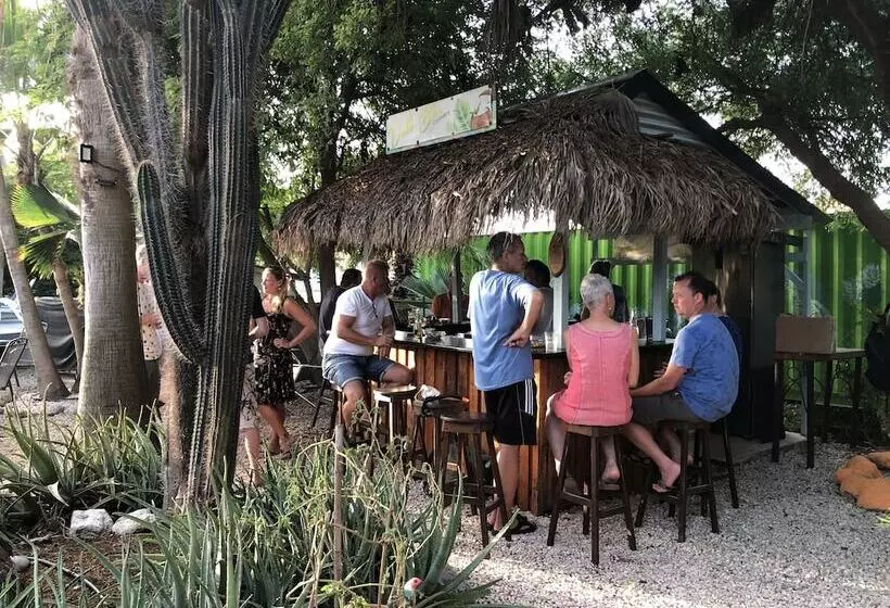 هتل Tropical Divers Resort