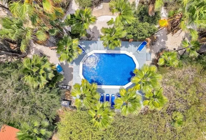 هتل Tropical Divers Resort