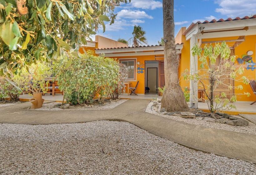 هتل Tropical Divers Resort