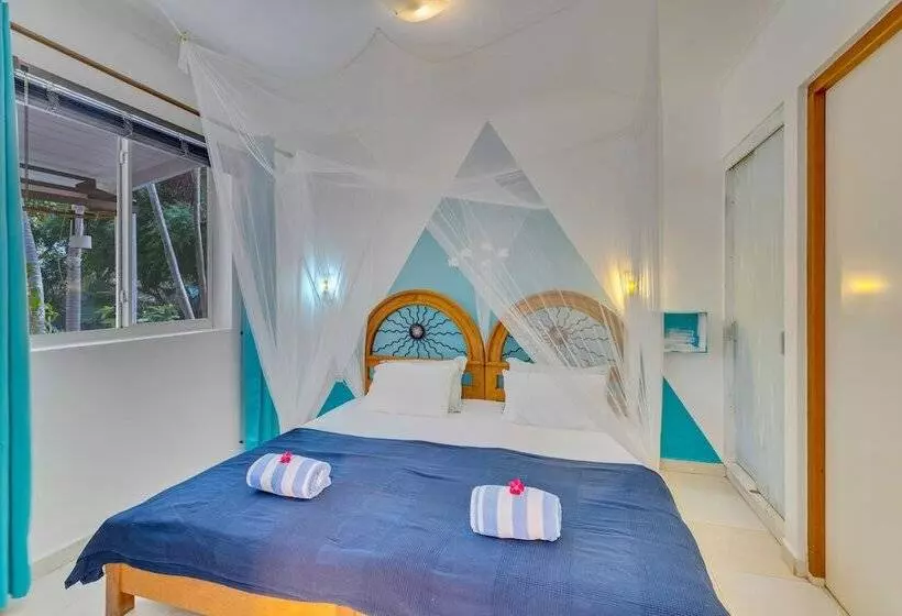 هتل Tropical Divers Resort