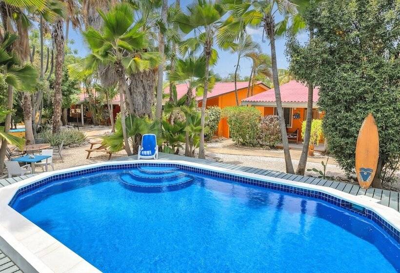 هتل Tropical Divers Resort