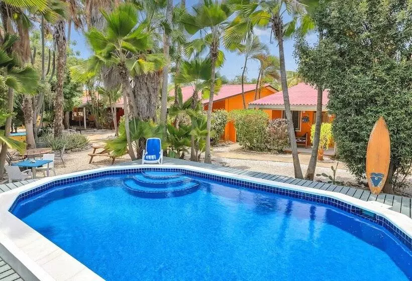 هتل Tropical Divers Resort