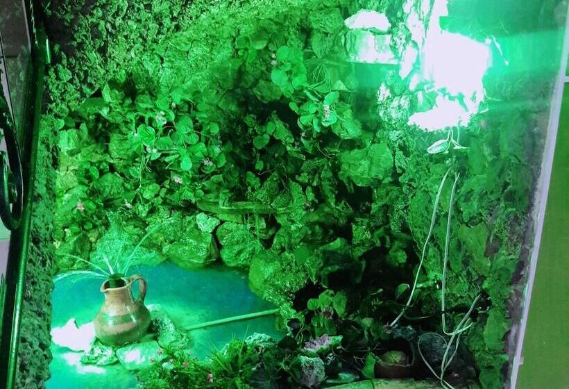 Отель Villa Real