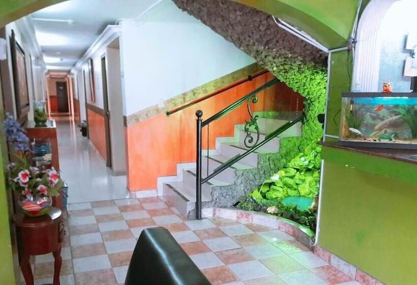 Отель Villa Real