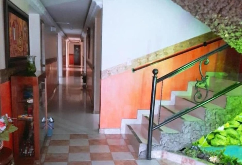 Отель Villa Real