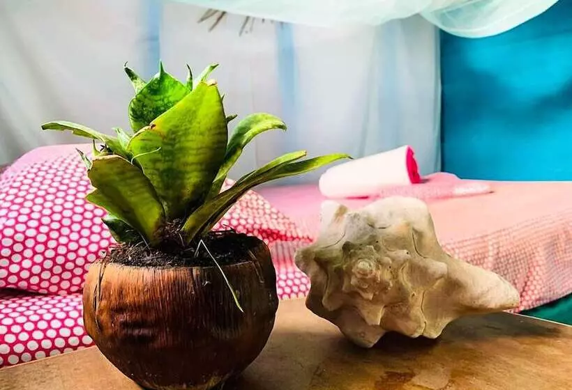 Macao Beach Hostel