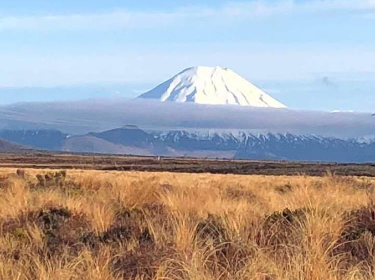モーテル Waiouru Welcome Inn