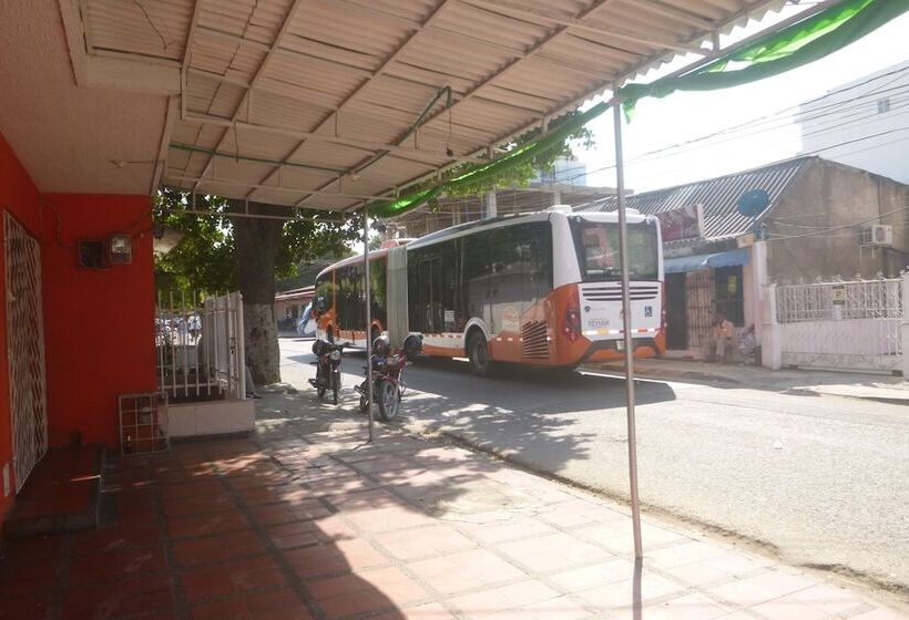 پانسیون Nefertiti