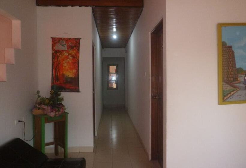 پانسیون Nefertiti