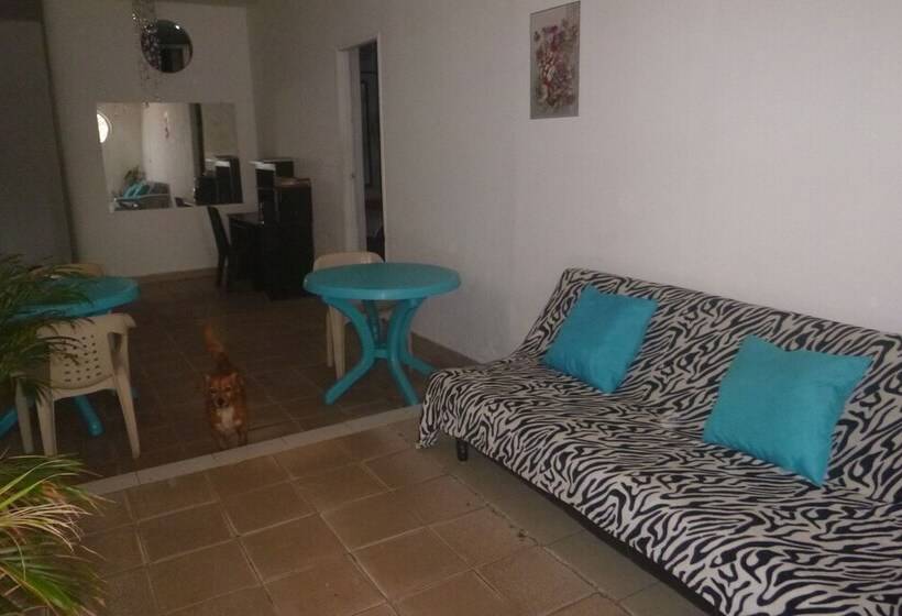 پانسیون Nefertiti