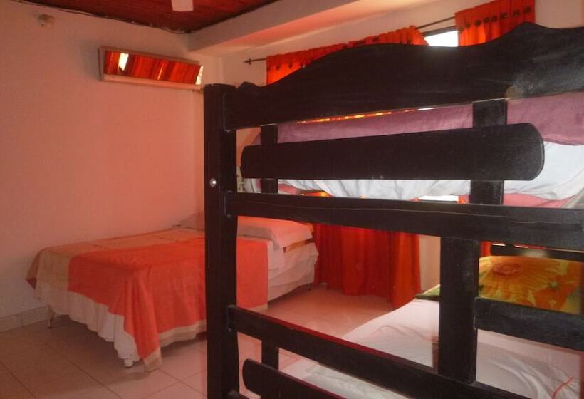 پانسیون Nefertiti