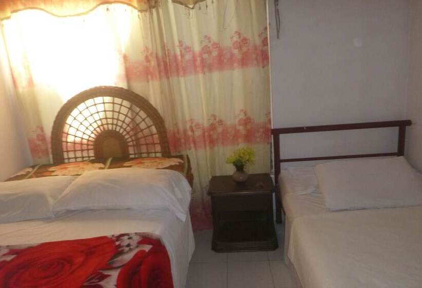 پانسیون Nefertiti