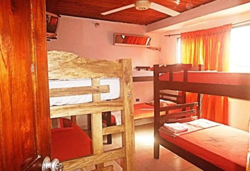 پانسیون Nefertiti