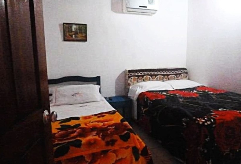 پانسیون Nefertiti