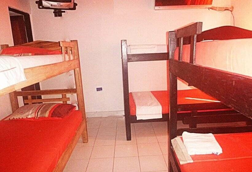 پانسیون Nefertiti