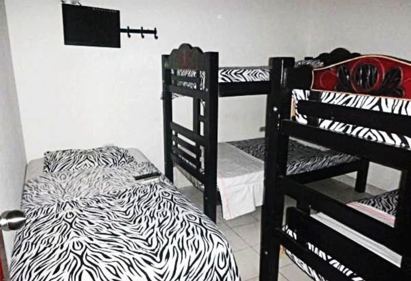 پانسیون Nefertiti