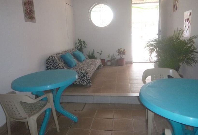 پانسیون Nefertiti