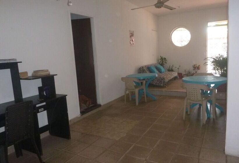 پانسیون Nefertiti