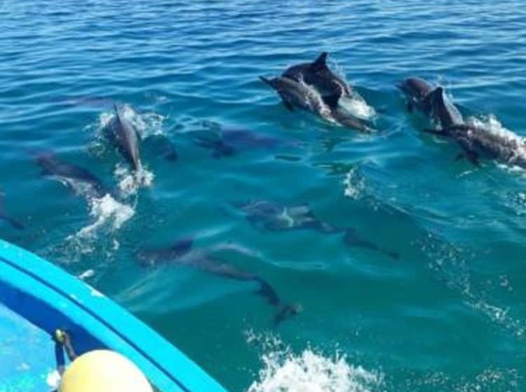 Pensione Wunderbar Inn