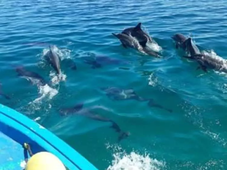 پانسیون Wunderbar Inn