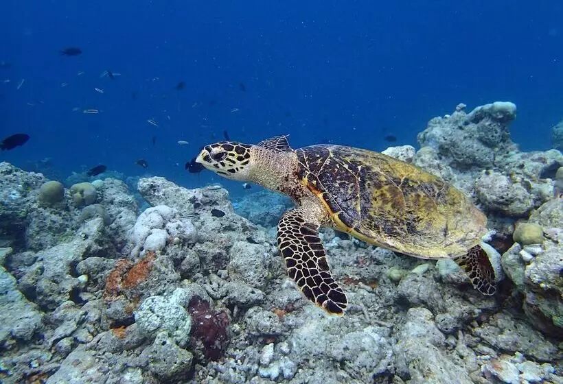 پانسیون Wunderbar Inn