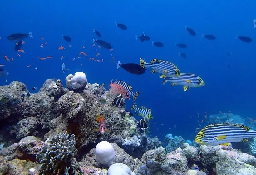 پانسیون Wunderbar Inn