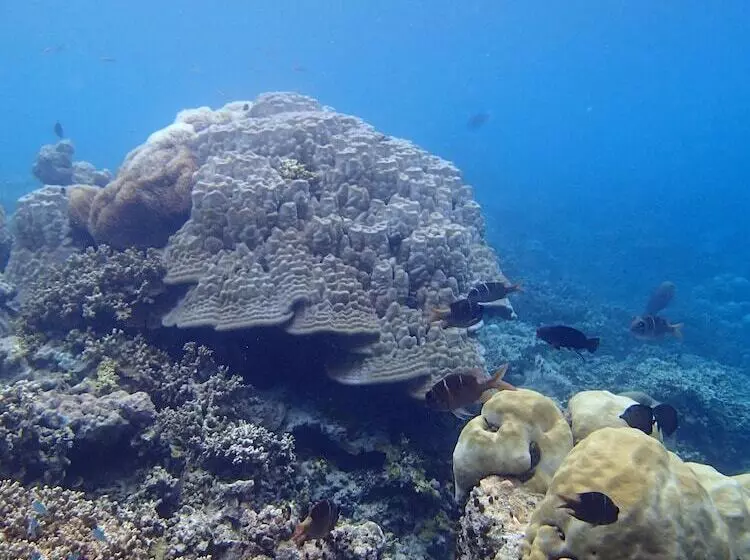 پانسیون Wunderbar Inn