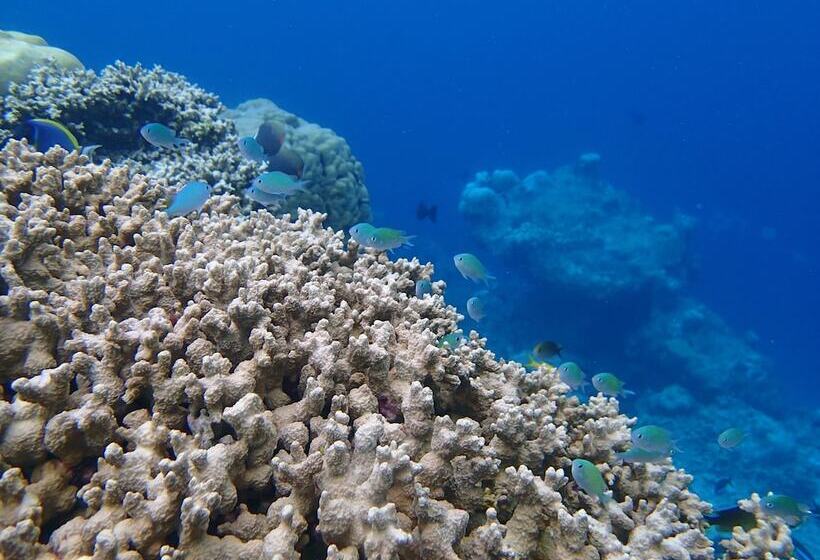 Pensione Wunderbar Inn