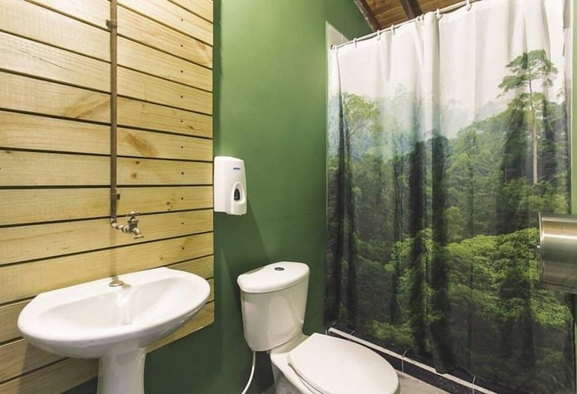 Caminante Hotel   Hostel