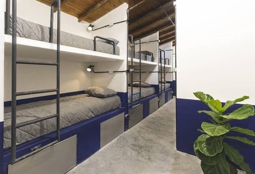 Caminante Hotel   Hostel