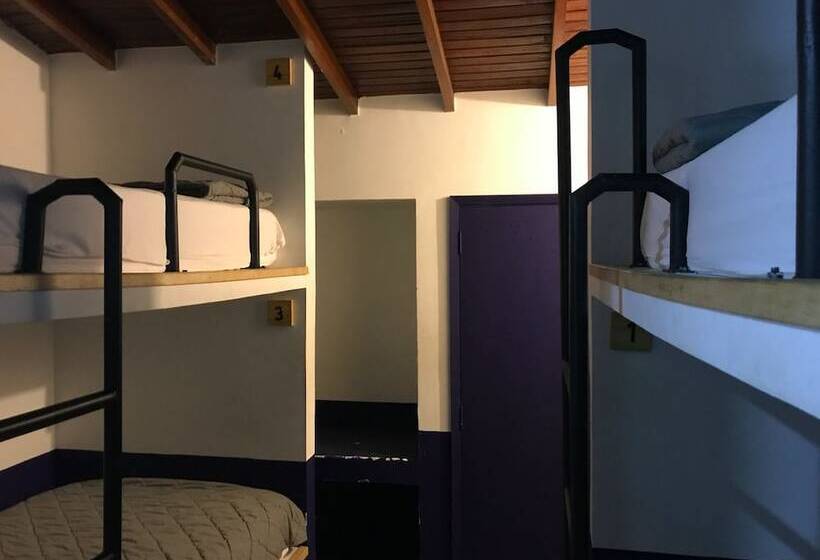 Caminante Hotel   Hostel