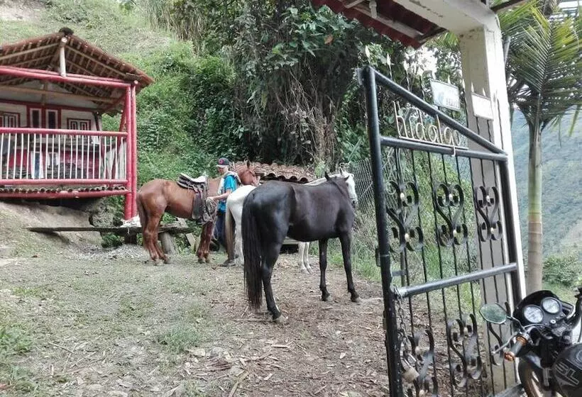 Hotelli Ecohostal Villa Hidalgo