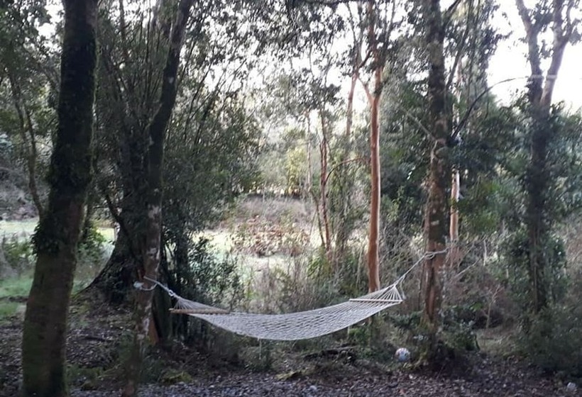 בית מלון כפרי Hostal Casa Bosque