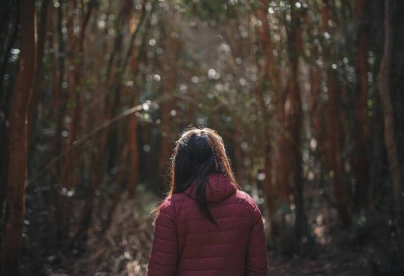 בית מלון כפרי Hostal Casa Bosque