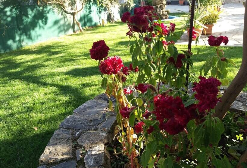 فندق San Georgio