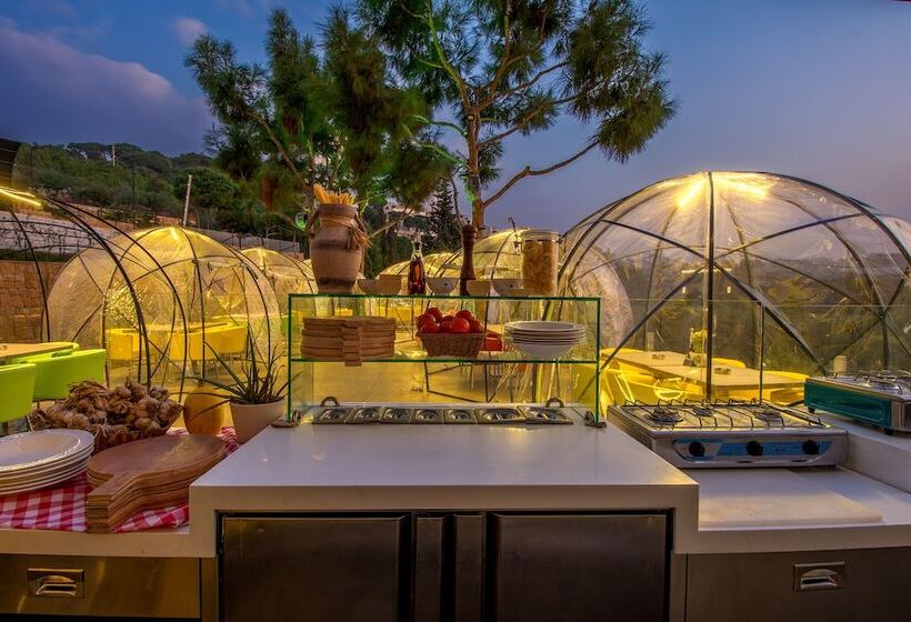 The Ray Hotel And Studios