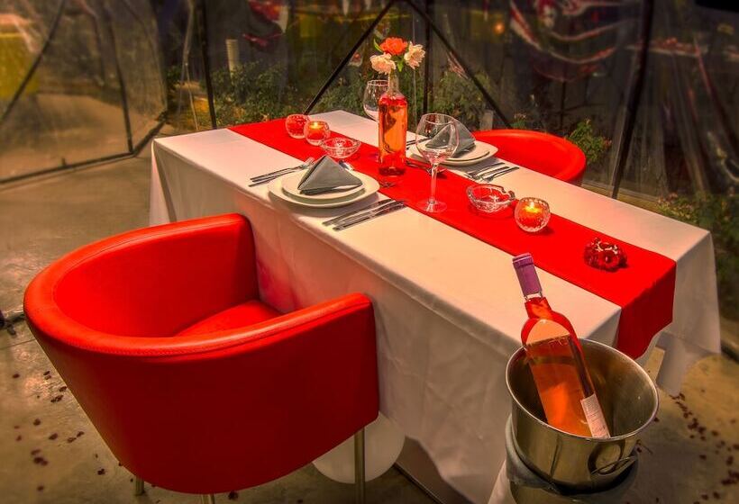 The Ray Hotel And Studios