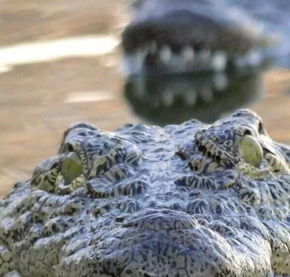 Hotelli Umndini Safari Resort & Venue