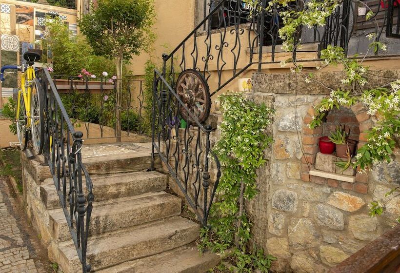 בית מלון כפרי Villa Bakacak Adults Only