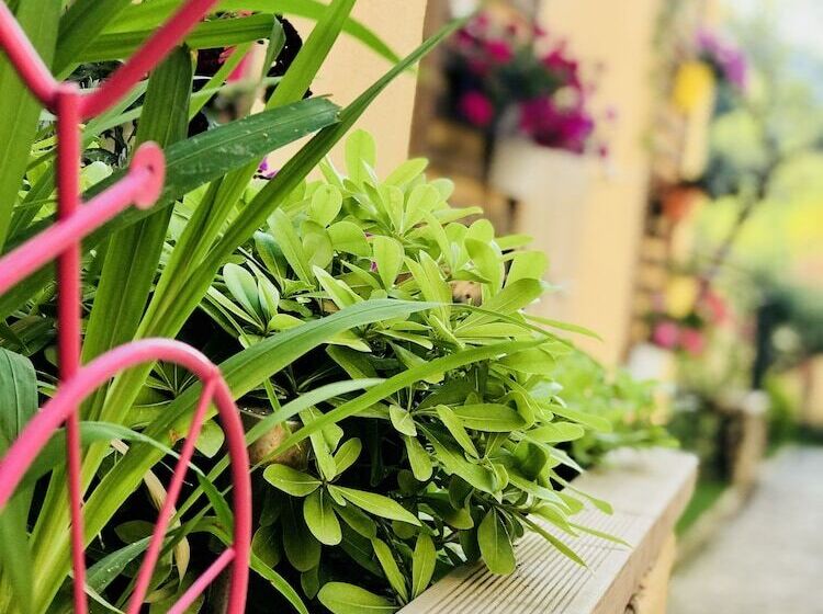 בית מלון כפרי Villa Bakacak Adults Only