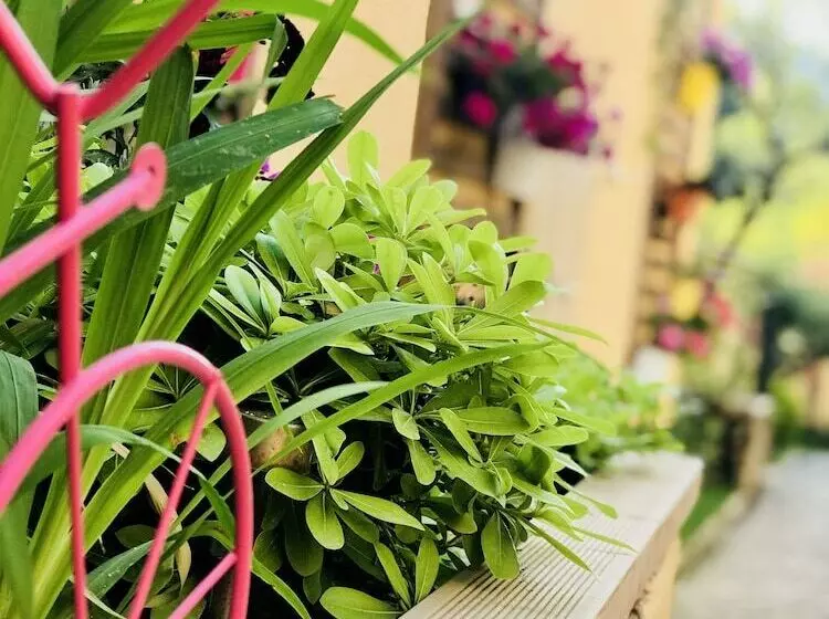 Hotelli Villa Bakacak   Adults Only